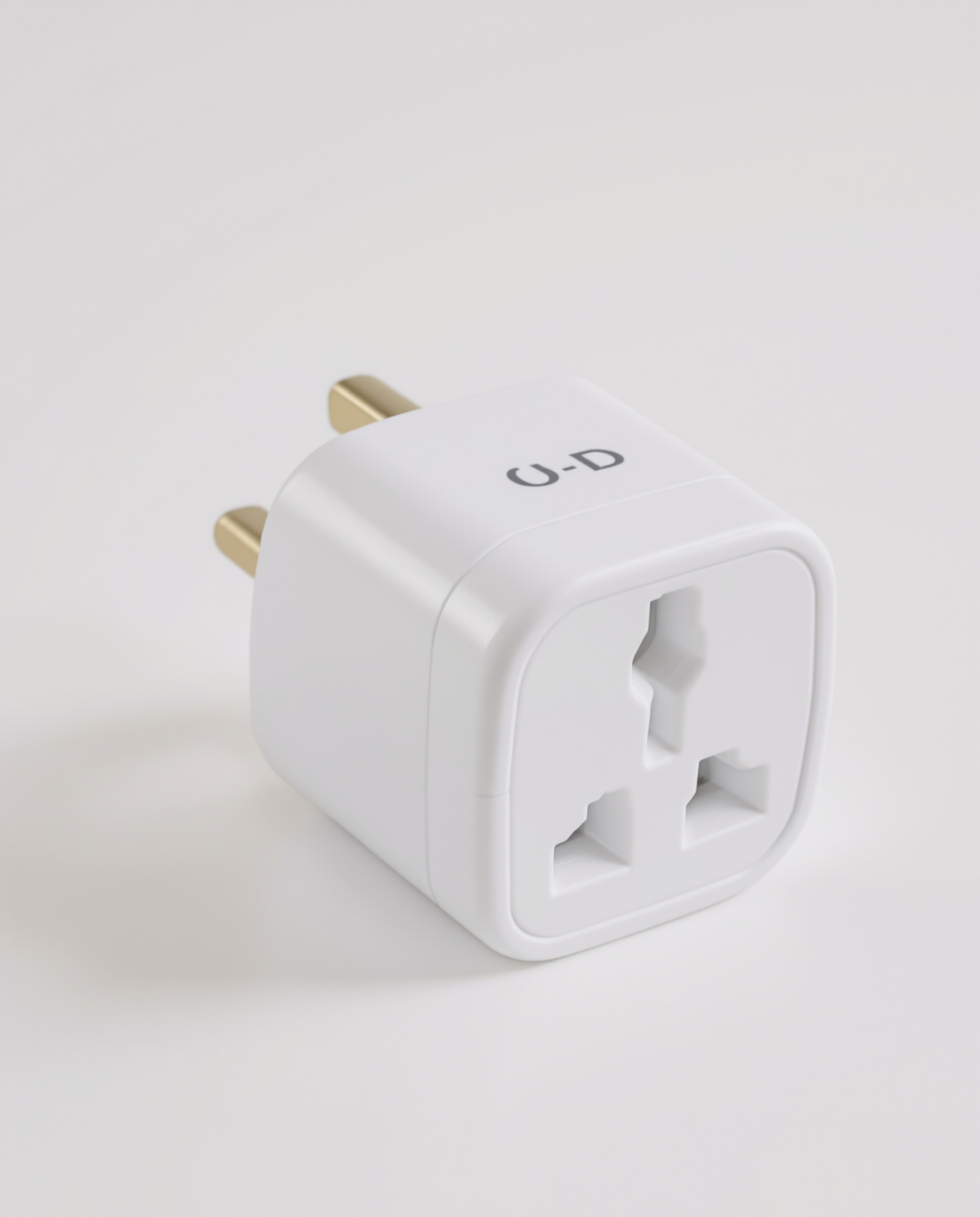 Adaptateur Type D solide et compact pour l'Inde