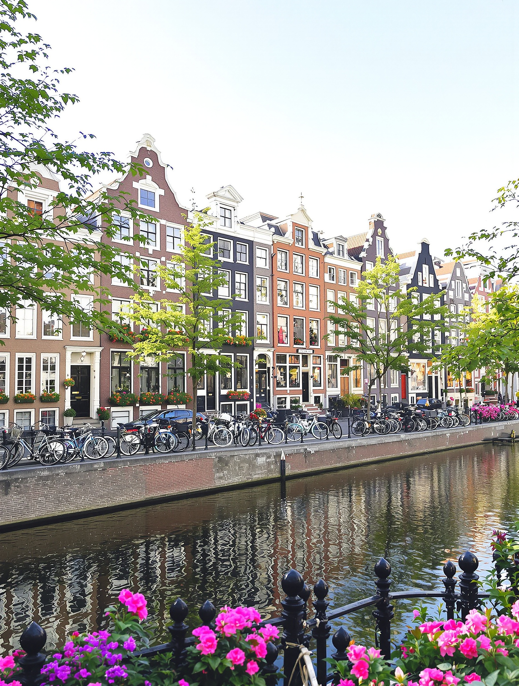 Canal paisible du Jordaan à Amsterdam avec maisons typiques, vélos et fleurs