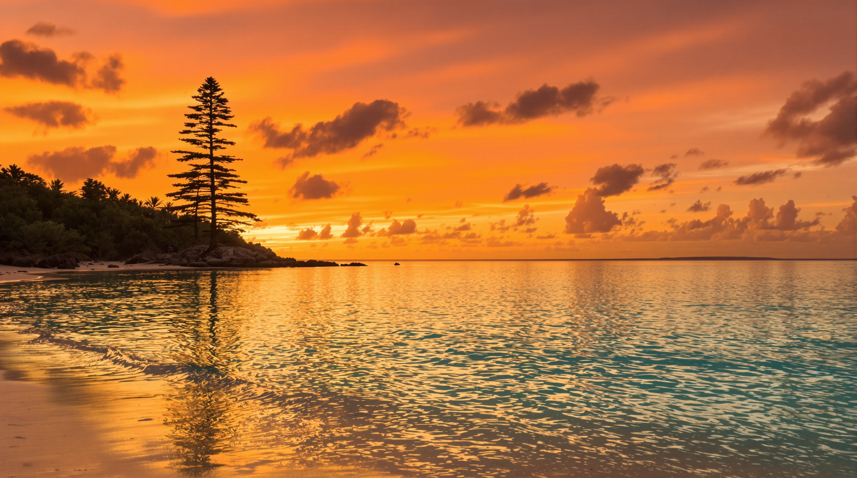 Coucher de soleil sur le lagon de Nouvelle-Calédonie avec un pin colonnaire en silhouette, ambiance paisible et contemplative.