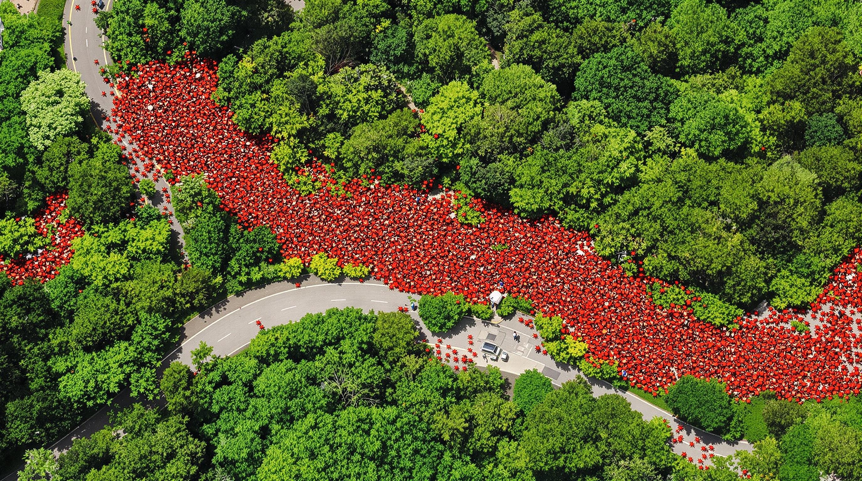 migration massive des crabes rouges Île Christmas vue Google Earth