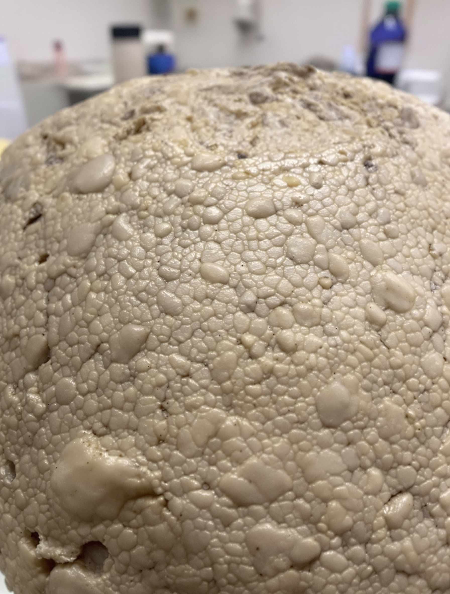 Texture peau momifiée détail scientifique Capucins Palerme