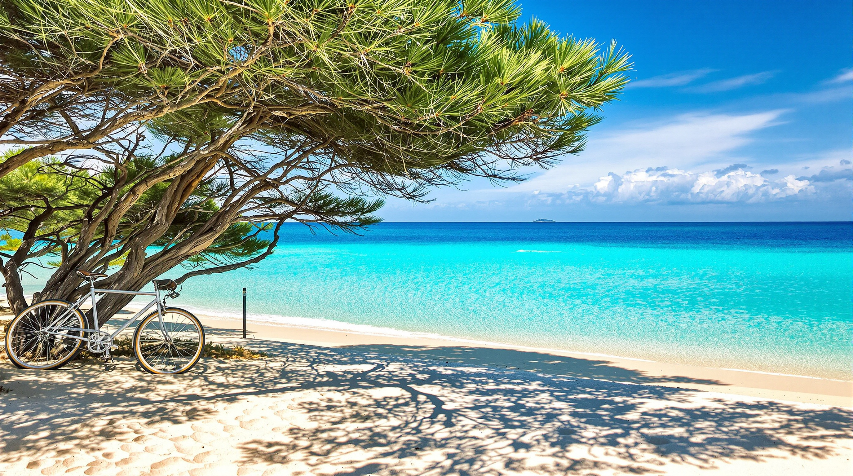Plage déserte de Porquerolles avec vélo électrique et pin