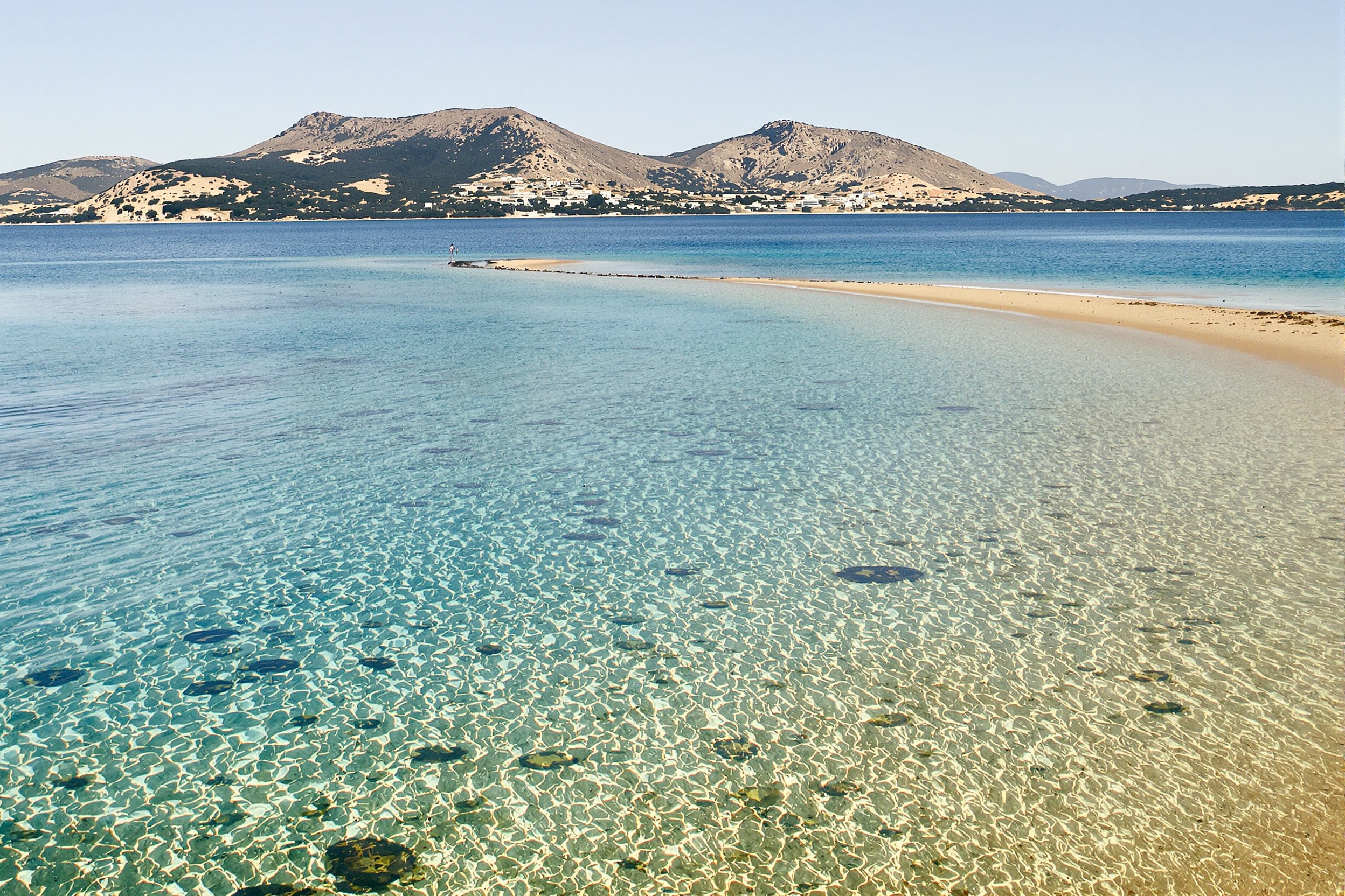 Plage authentique de Tamarone : sable doré et posidonies, eau limpide, nature brute.